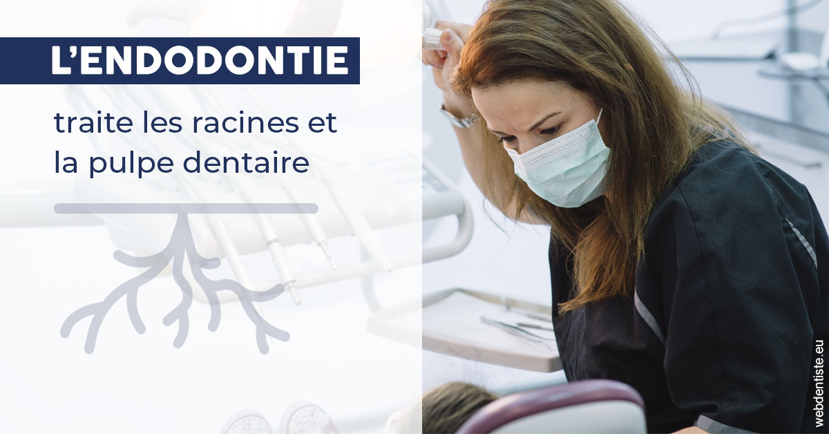 https://dr-laurent-sers.chirurgiens-dentistes.fr/L'endodontie 1