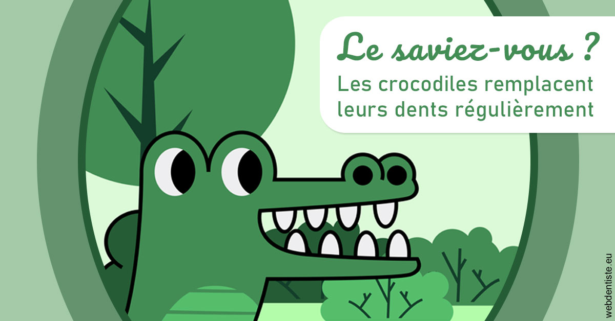https://dr-laurent-sers.chirurgiens-dentistes.fr/Crocodiles 2