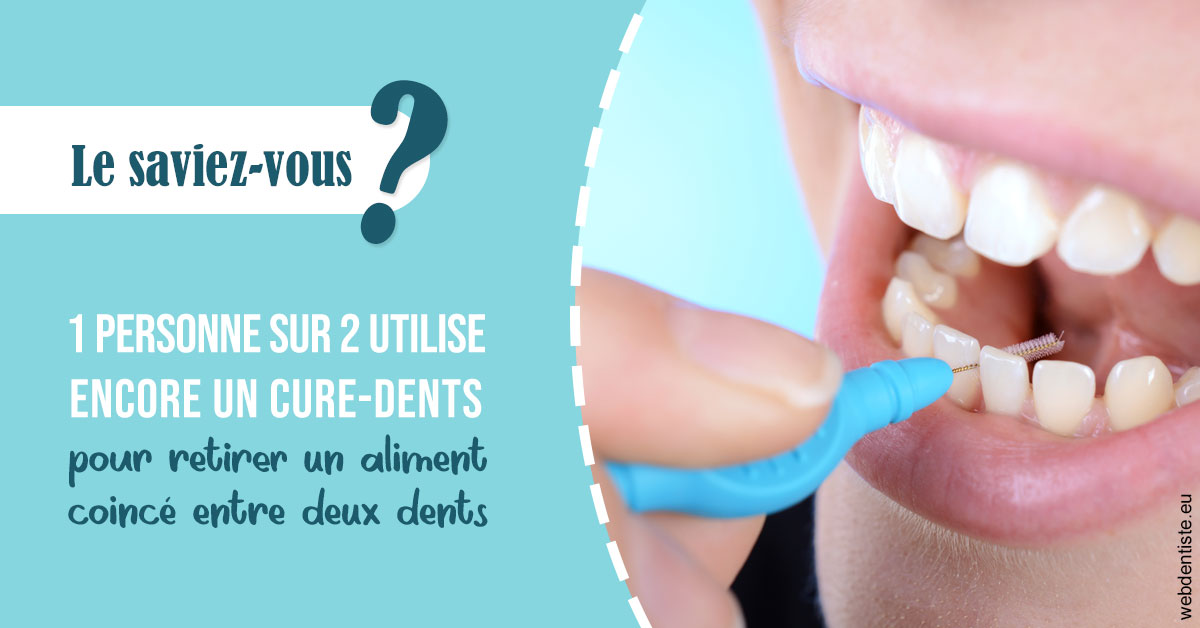 https://dr-laurent-sers.chirurgiens-dentistes.fr/Cure-dents 1